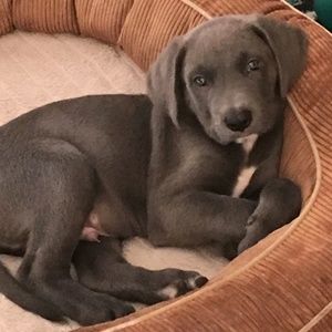 Meet your Posher, Jackie